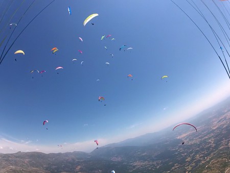 Pajarera en el Campeonato de España, Pedro Bernardo